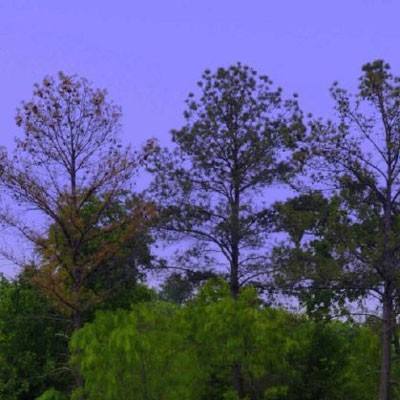 百姓彩票手机app下载