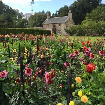 安博体育的最新版本app下载