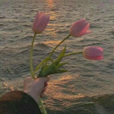 金沙8888js官方手机app下载